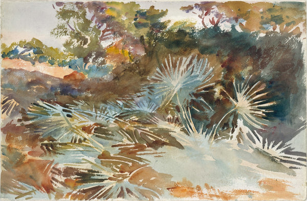 Landscape with Palmettos 1917