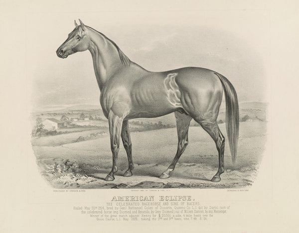 American eclipse The celebrated racehorse and sire of racers 1880