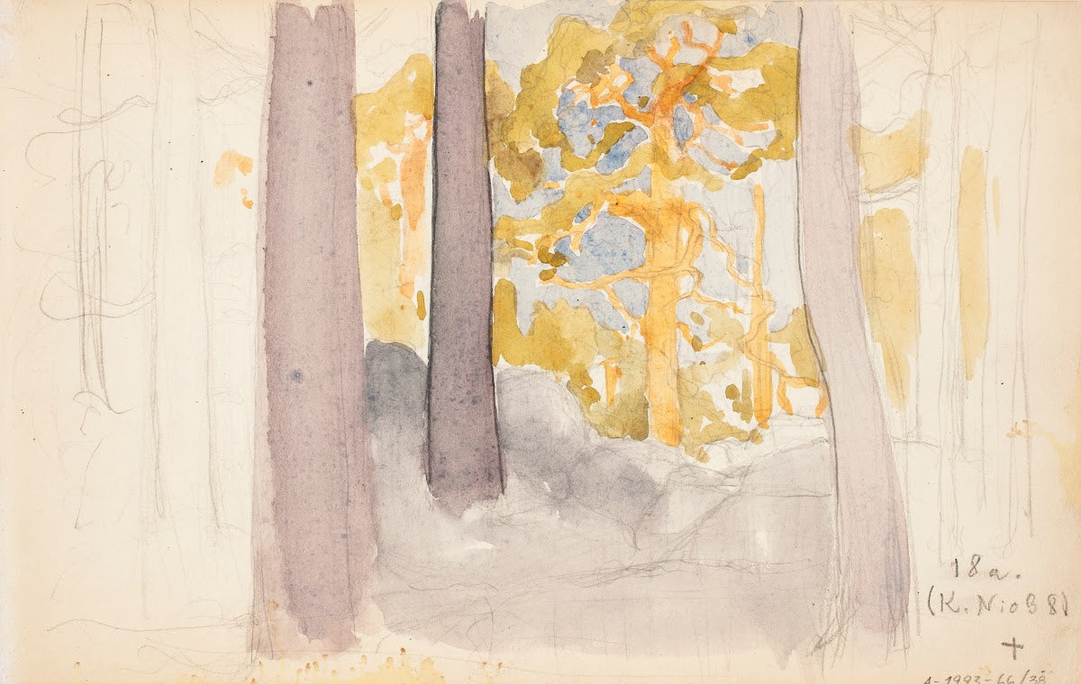 Untitled 1894   1897