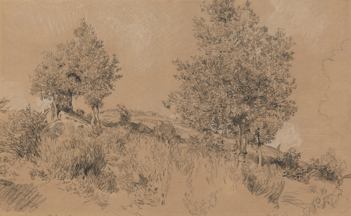 Landscape in the vicinity of Florence 1891