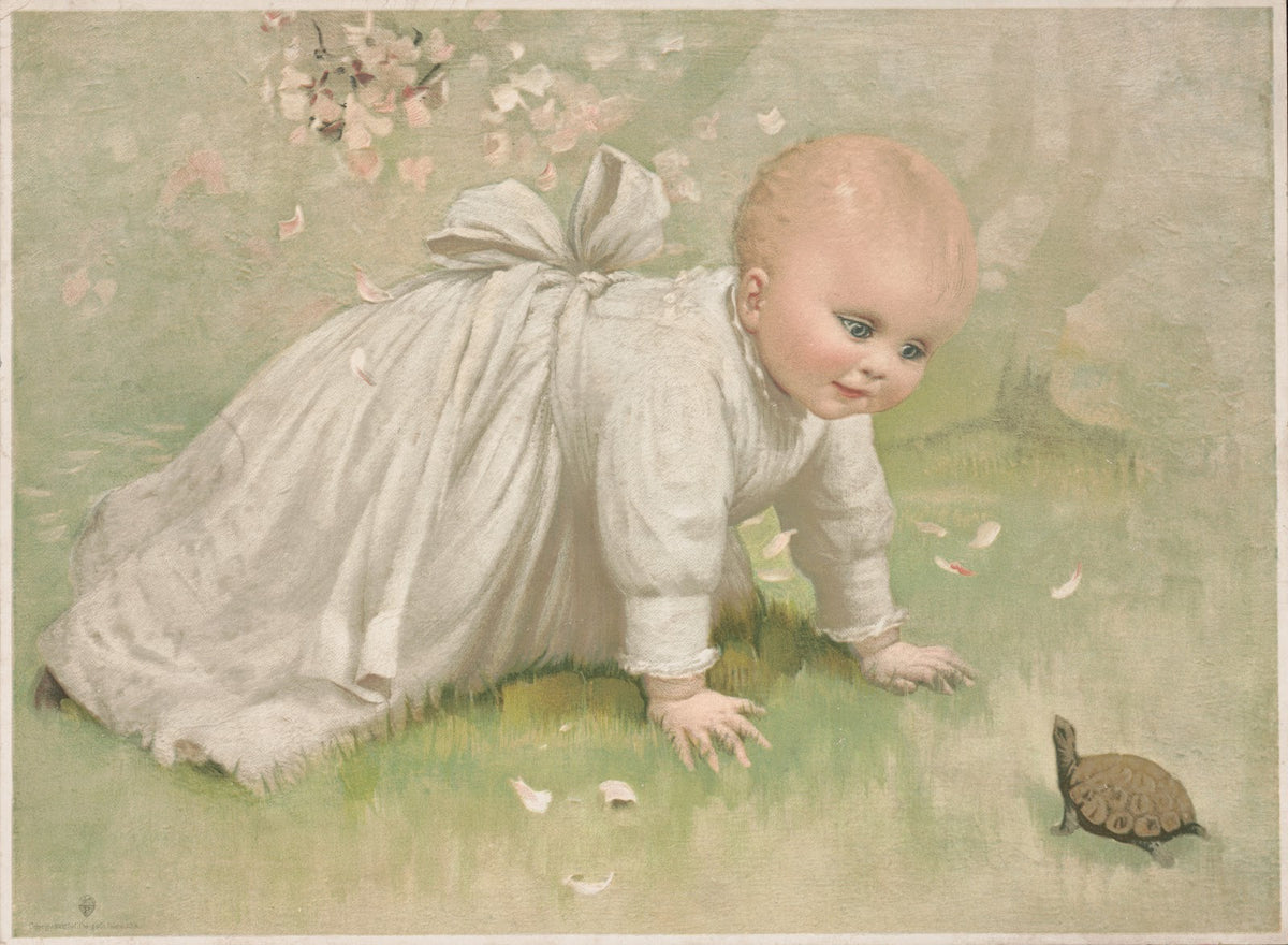What is it 1892