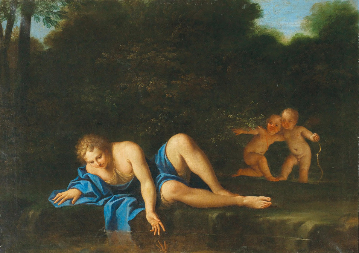 Narcissus
