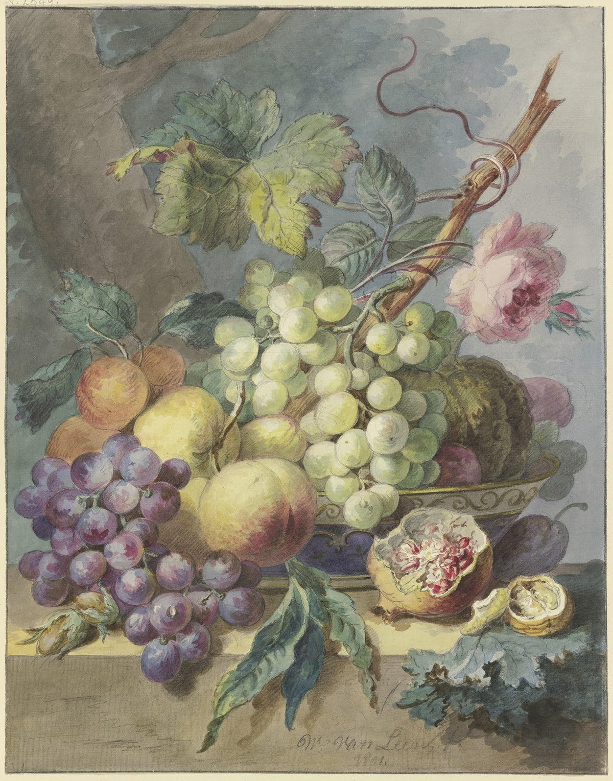 Fruchtstück mit Trauben Pfirsichen usw dabei eine Rose 1801
