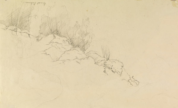 Rocky Forest with Strollers 1825