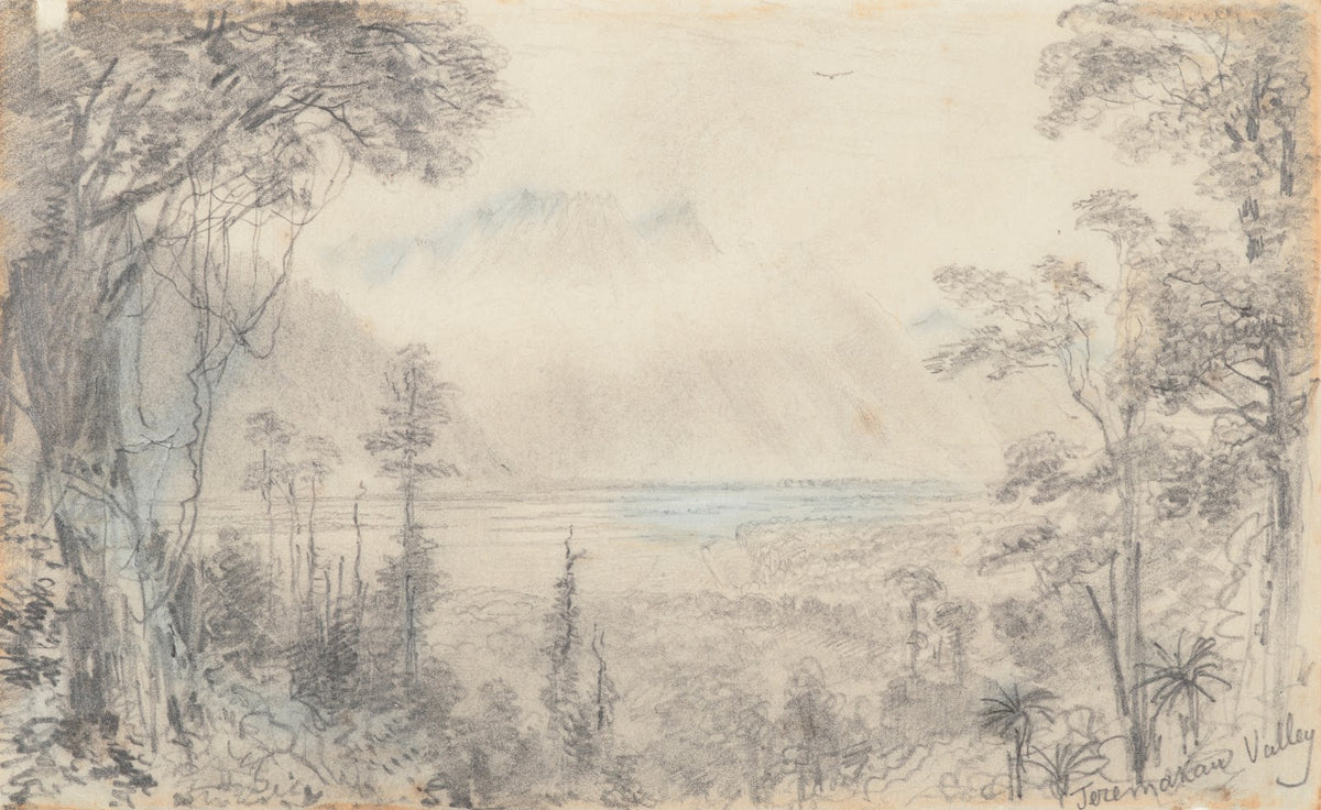 Teremakau Valley 1866