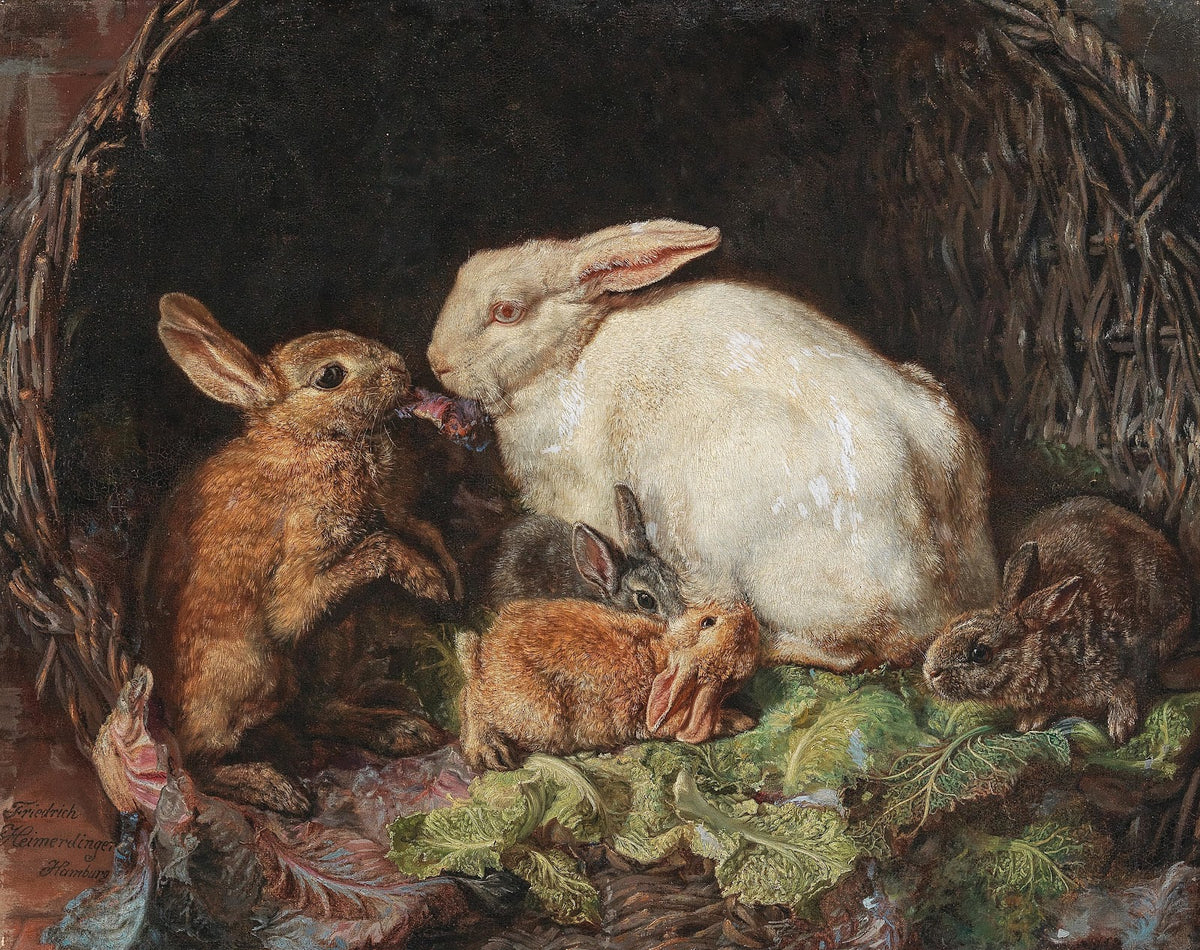 A Family of Hares