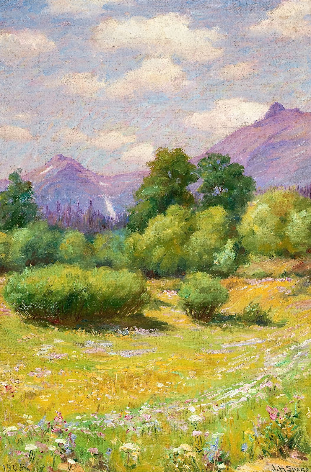 Landscape of Glacier Joseph Henry 1905
