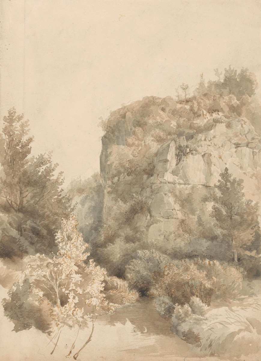 Begroeid dal met een hoge rots en een beek 1827   1897