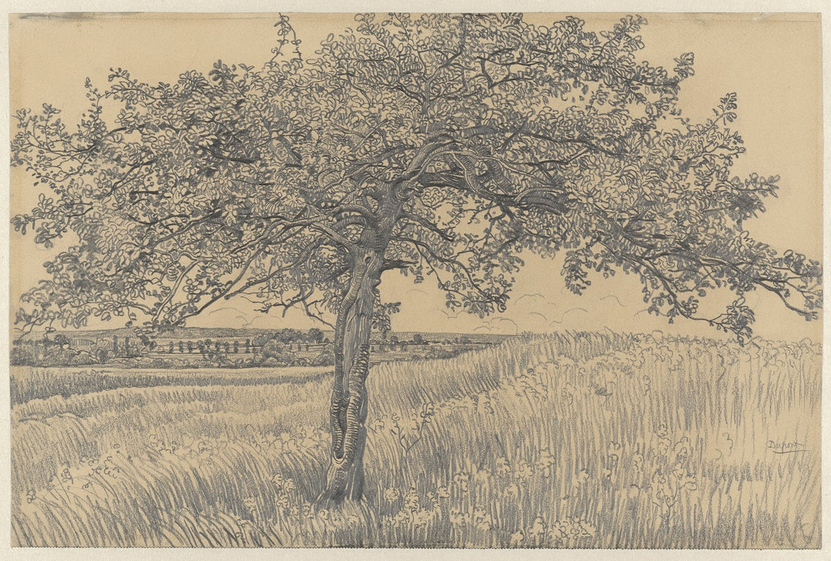 Appelboom in landschap 1880 1911