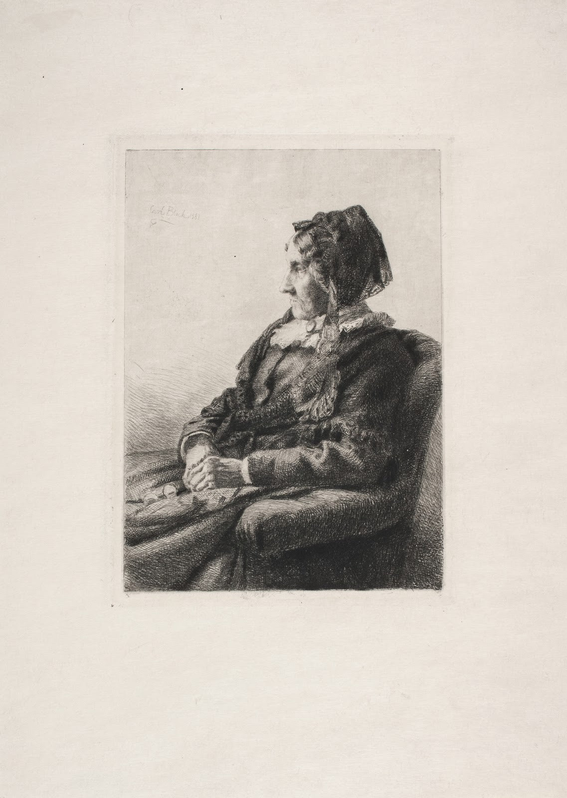 Portrait of a lady 1881