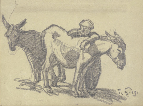 Boy with two donkeys