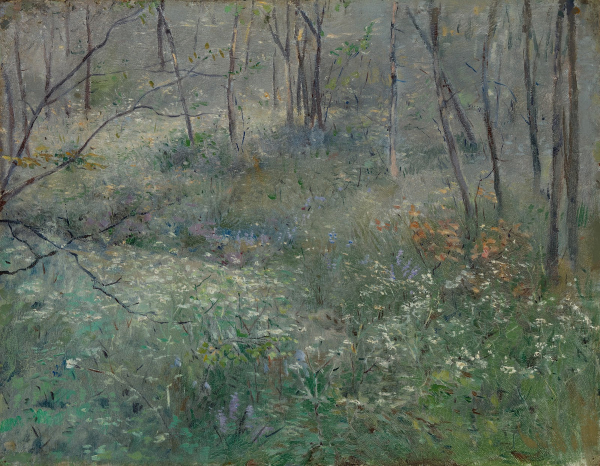 Wild Parsley 1900
