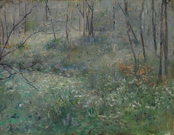 Wild Parsley 1900