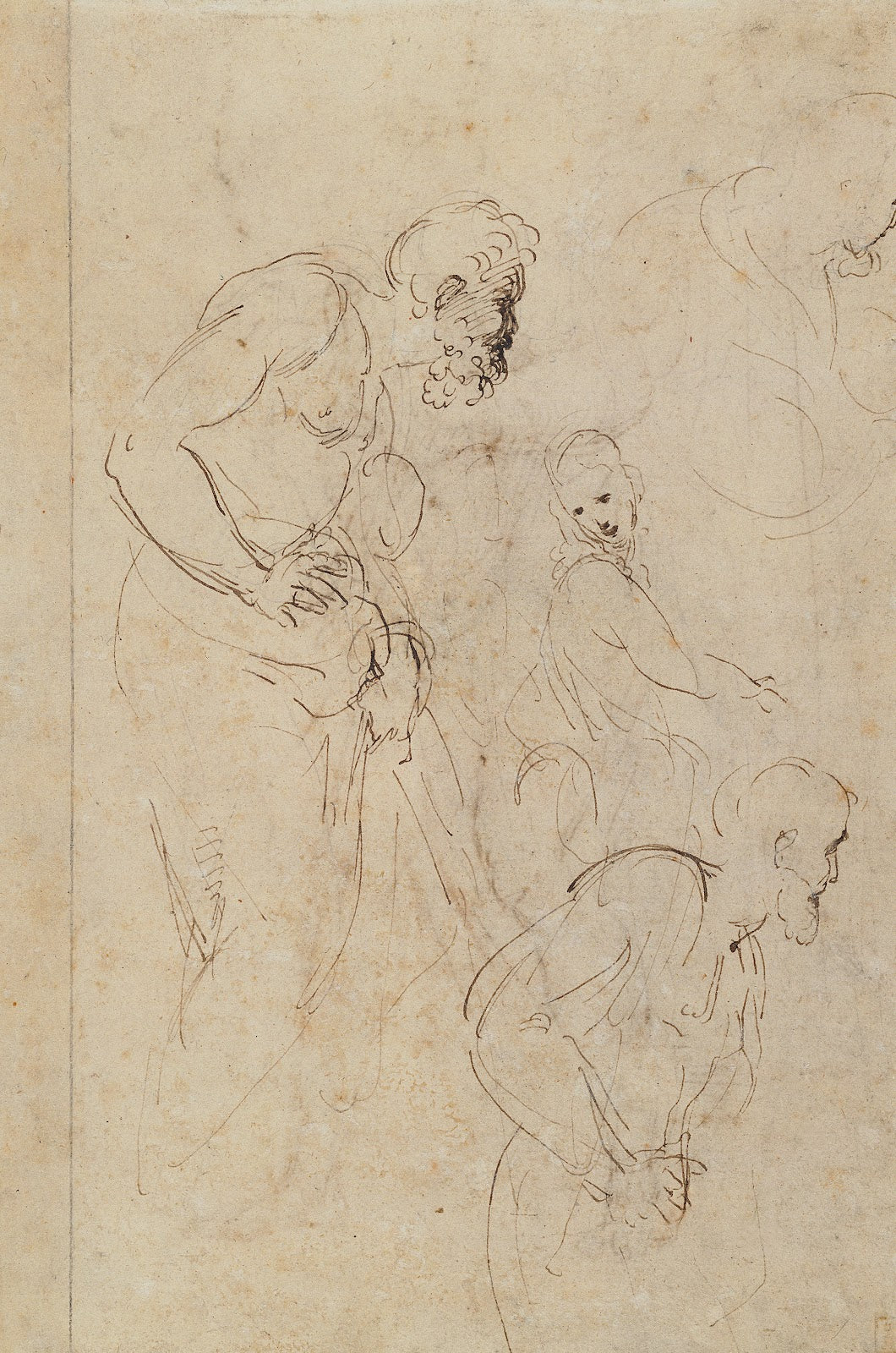 Studies for the Disputa 15091511