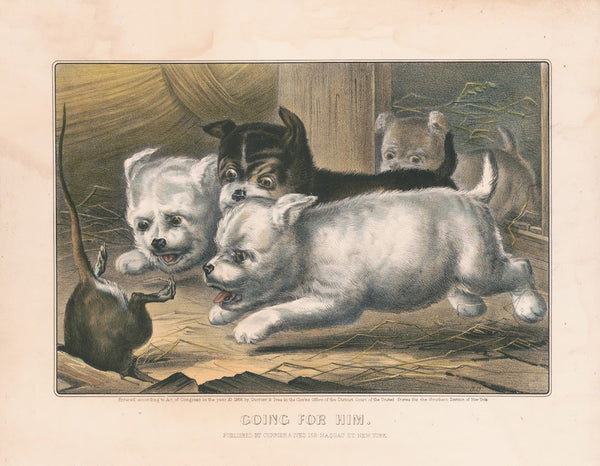 Going for him 1868