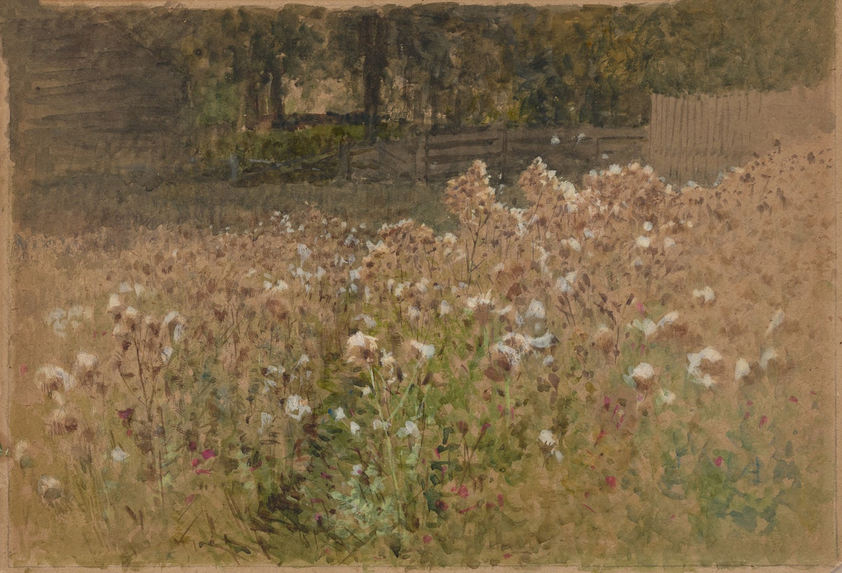 Flowers in field