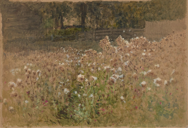 Flowers in field