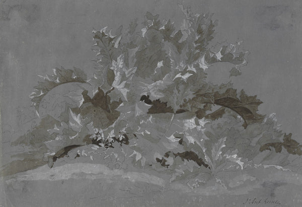 Study of Weeds 1800 1850