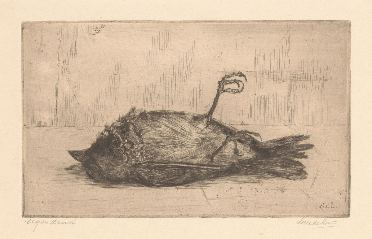 Dode vogel 20th century