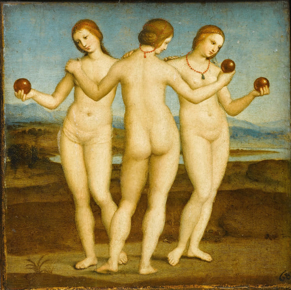 The Three Graces 1503 1508