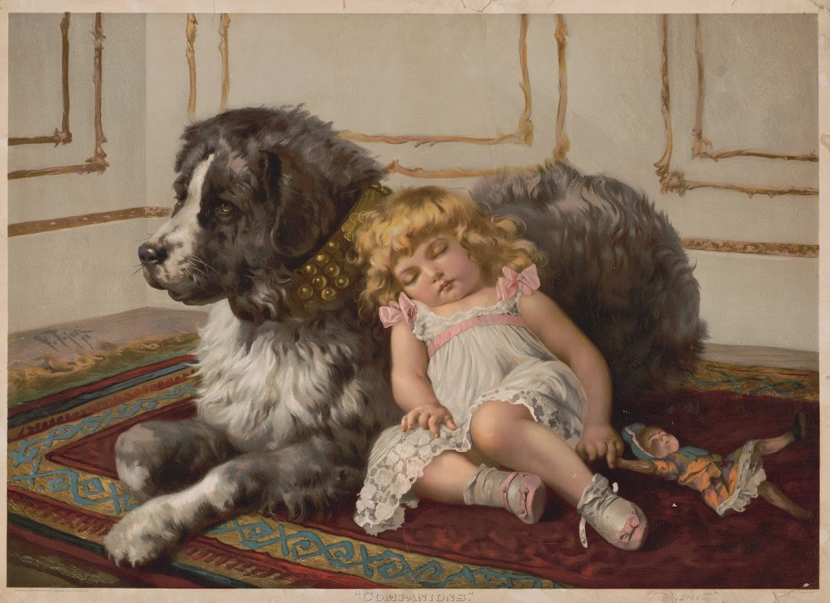 Companions 1895