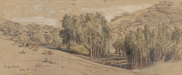 Eucalyptus Groves on the Cooper Ranch Santa Barbara 1898