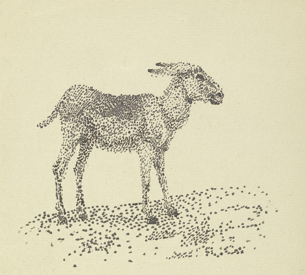 Donkey