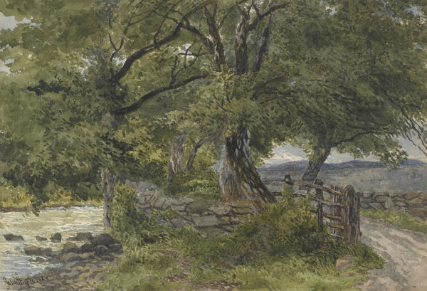 Lane by river Bettws Y Coed North Wales 1884