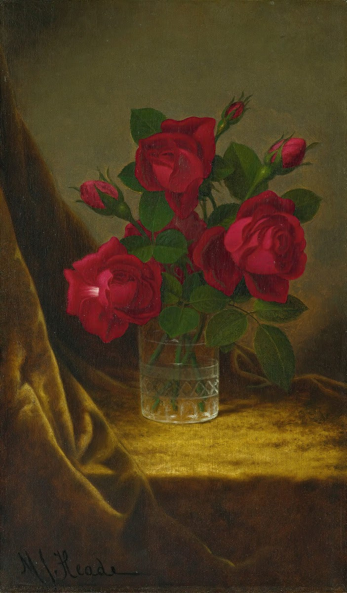 Jacqueminot Roses circa 1883 1900