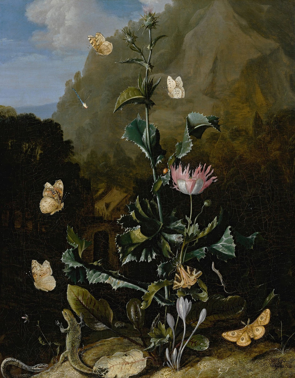 Still life of a thistle and other flowers surrounded by moths a dragonfly a liza