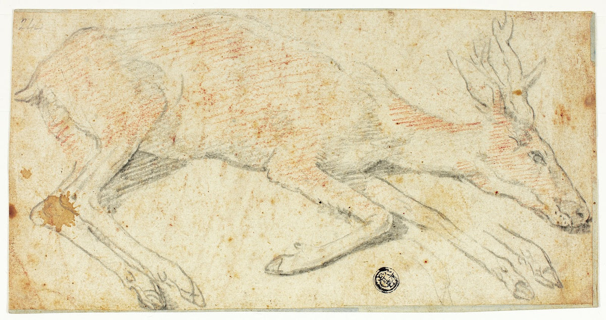 Recumbent Deer ca 1560 1600