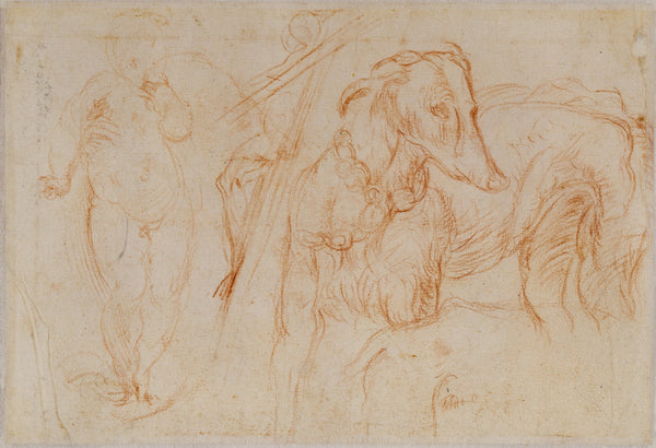 Studies of the Christ Child a Crucifix and a Dog 15251527