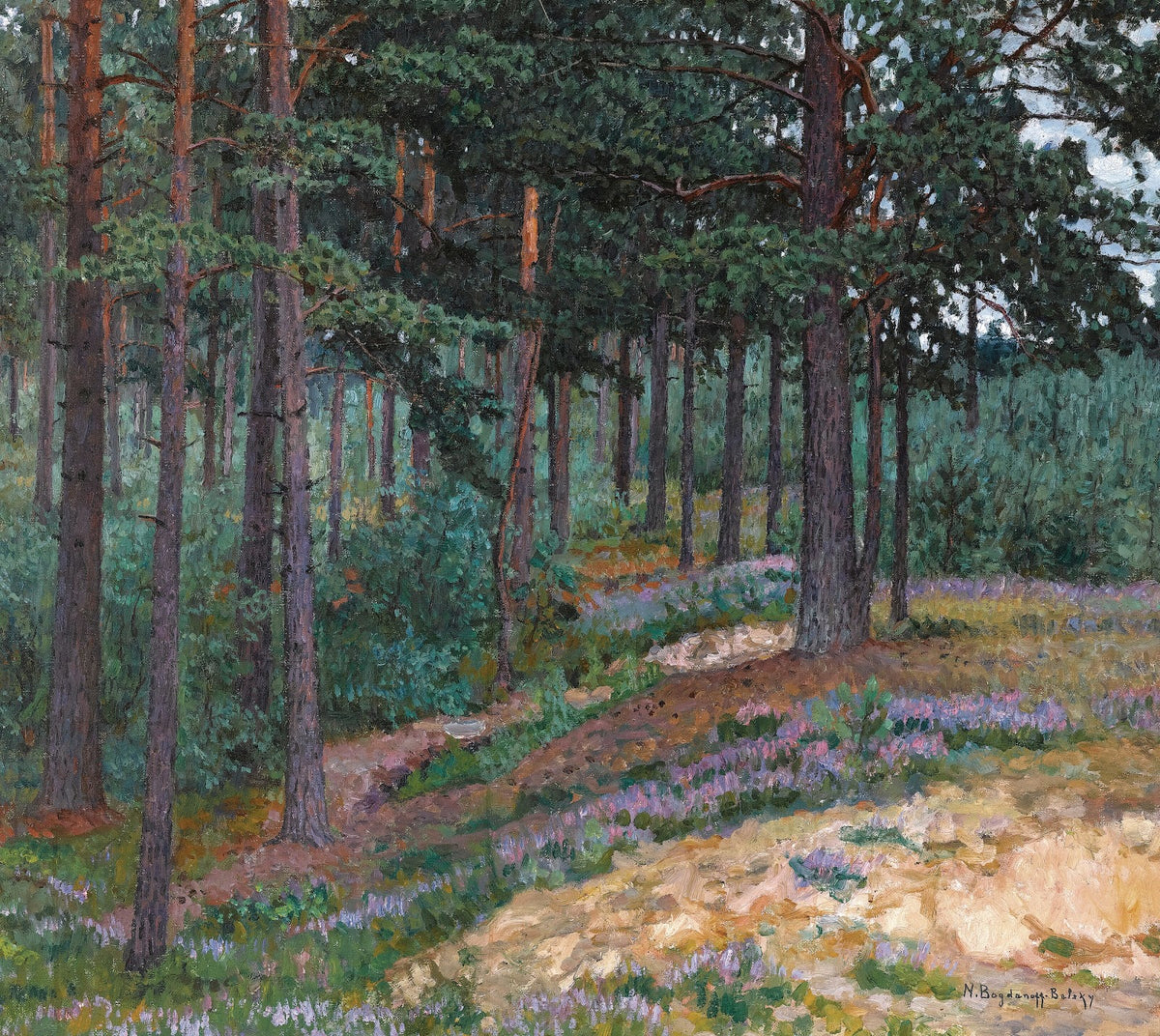 Forest Glade