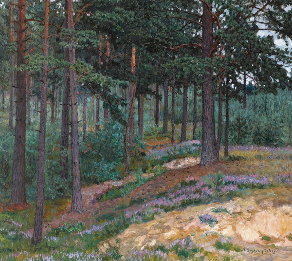 Forest Glade