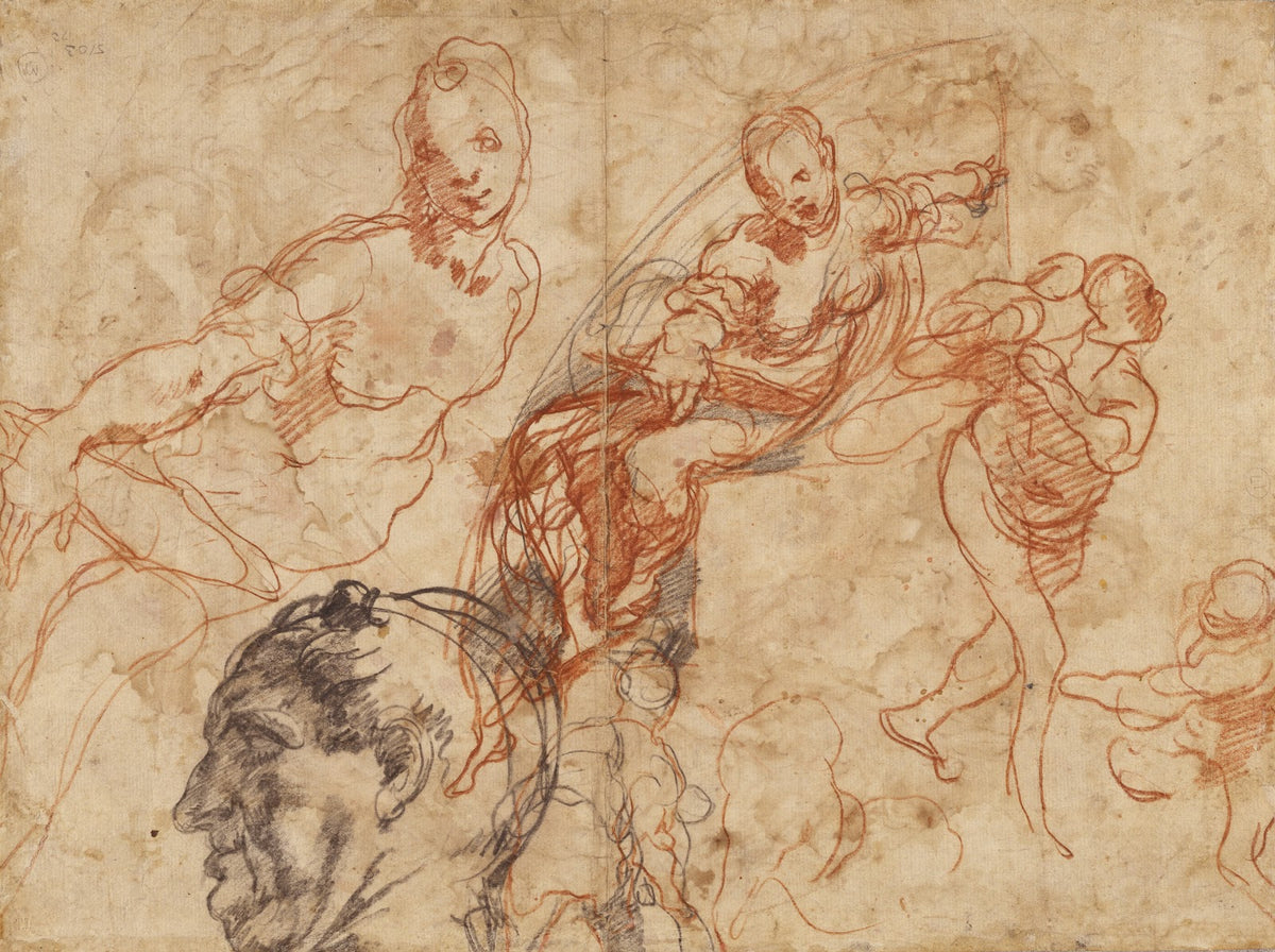 Figure Studies 15531556