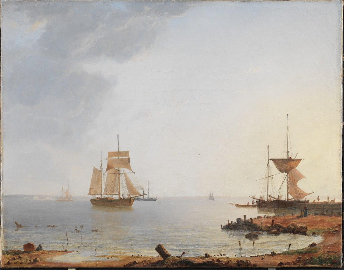 Ships Off the Coast of Zealand Morning 1845