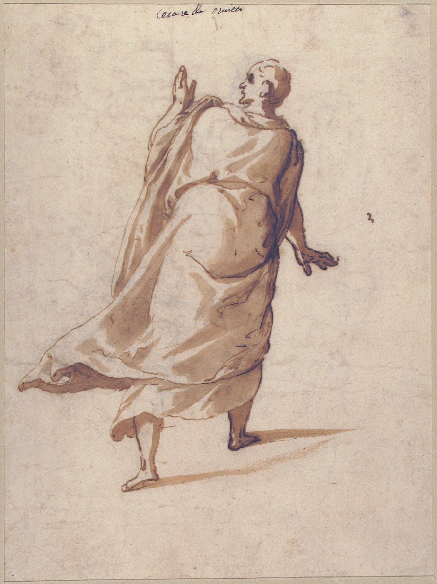 Back View of a Standing Man in a Long Cloak 15361614