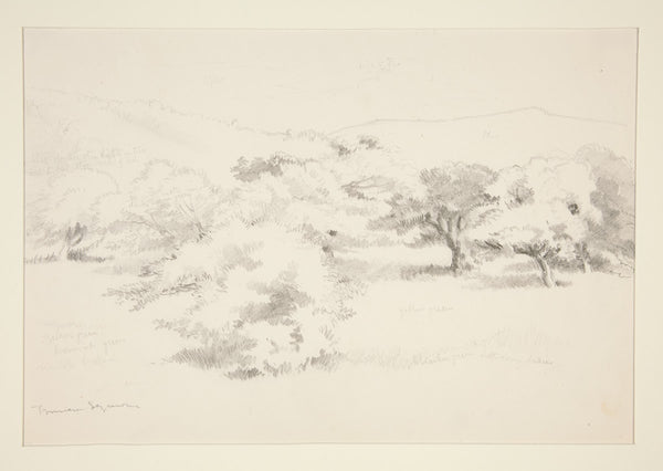 Landscape withTrees 19thcentury