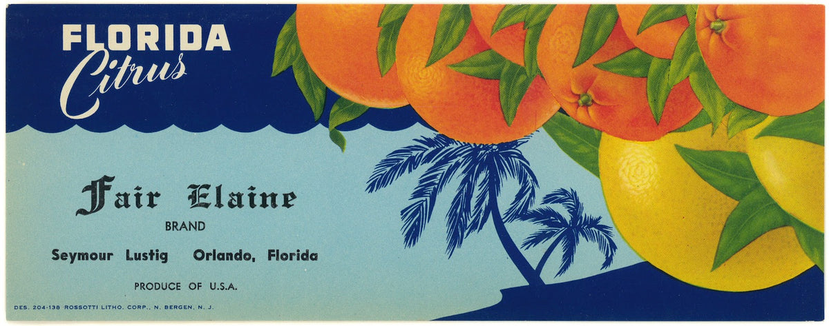 Fair Elaine Brand Florida Citrus Label 1930 1950