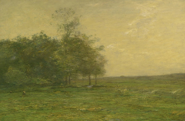The Meadow 1916