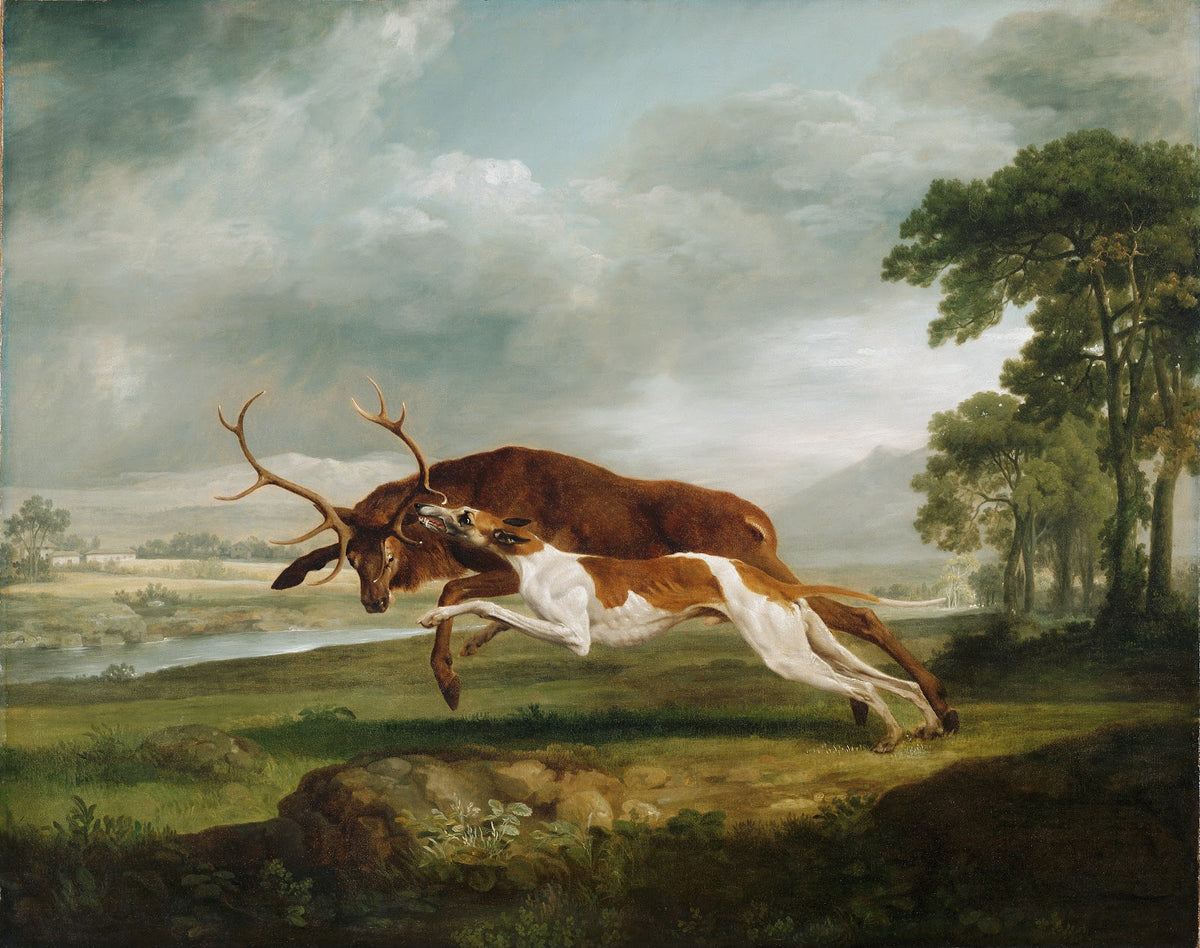 Hound Coursing a Stag ca 1762