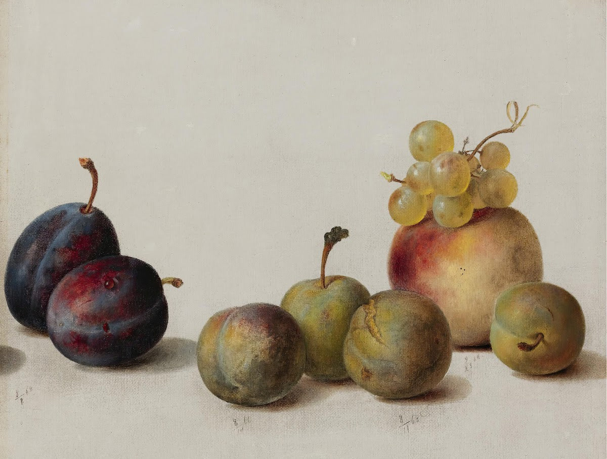 Plums Peach And Grapes 1868