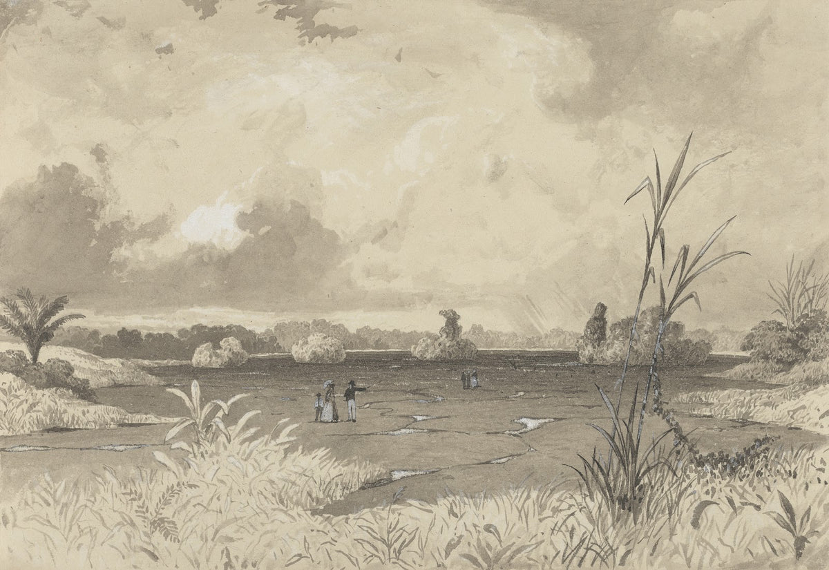 The Pitch Lake 1857