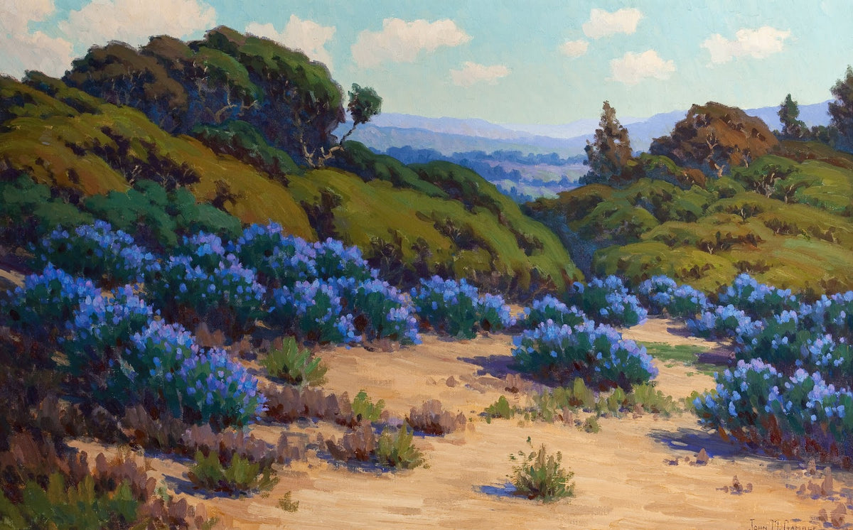 Bush Lupine Near Del Monte circa 1925