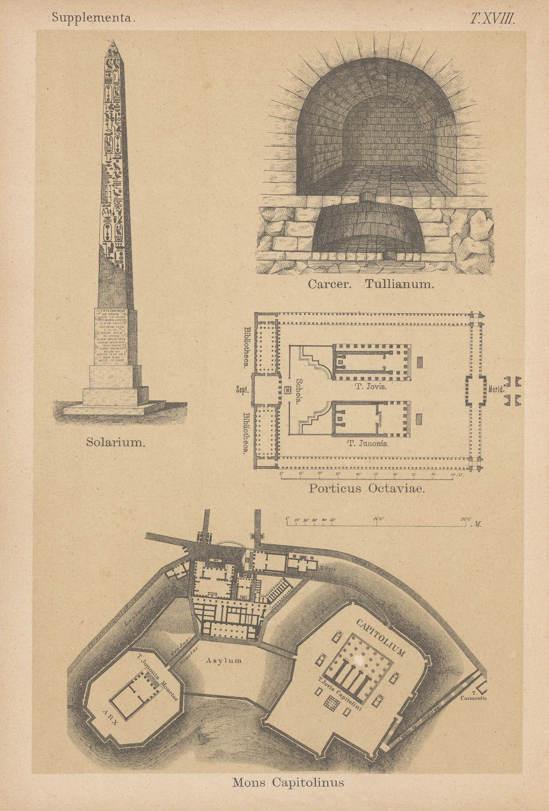 Mons Capitolinus 1882