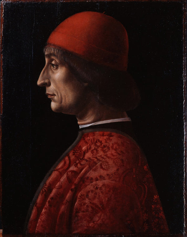 Portrait of Giovanni Francesco Brivio 1495