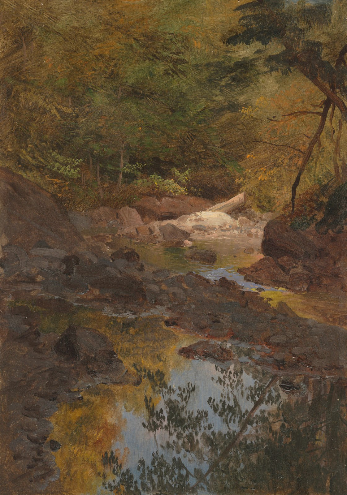 In the New England Woods 185565