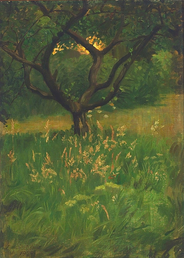View of a garden 1929