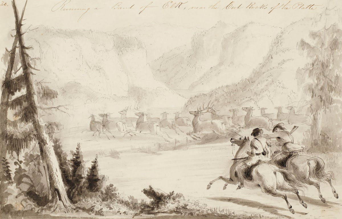 Running a Bank of Elk Near the Cut Rocks of the Platte circa 1837