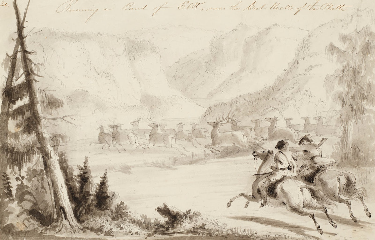 Running a Bank of Elk Near the Cut Rocks of the Platte circa 1837